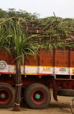 कर्नाटक में ट्रक के हाईटेंशन तार के संपर्क में आने से दो की मौत