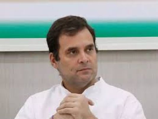 सरकार गरीब लोगों और जानवरों को जी20 के प्रतिनिधियों से छिपा रही है: राहुल गांधी