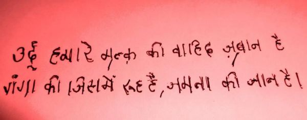 उर्दू ठेठ हिन्दुस्तानी जुबान है स्टूपिडो उर्दू सिर्फ मुसलमानों की नहीं है हुजूरे आला!
