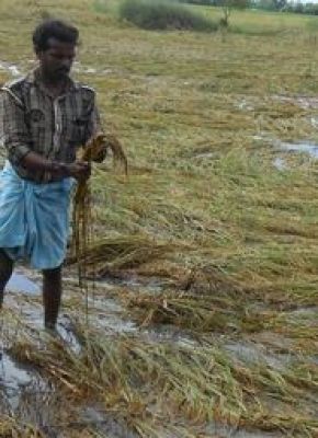 जलवायु परिर्वतन के कहर से मरता किसान