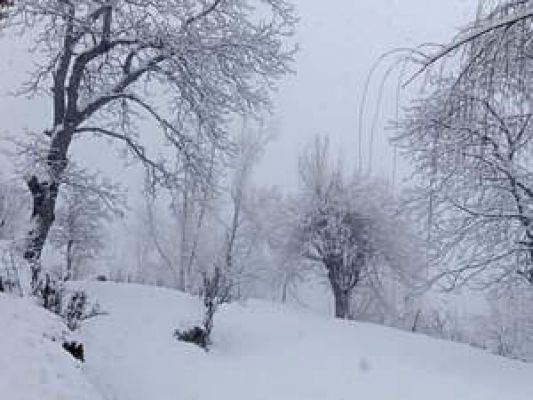 उत्तराखंड के सात जिलों में बारिश को लेकर येलो अलर्ट जारी