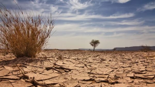 पूंजीवादी व्यवस्था जलवायु परिवर्तन और तापमान वृद्धि रोकना  नहीं चाहती, दिखावे के लिए किए जाते हैं बड़े-बड़े वादे!