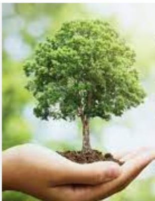 पर्यावरणवाद के 76 वर्ष