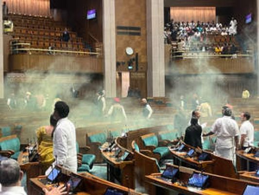 संसद सुरक्षा उल्लंघन मामले में दो और लोग हिरासत में