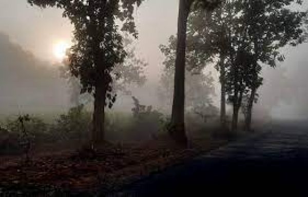 ओडिशा में कई स्थानों पर पारा दस डिग्री सेल्सियस से नीचे पहुंचा
