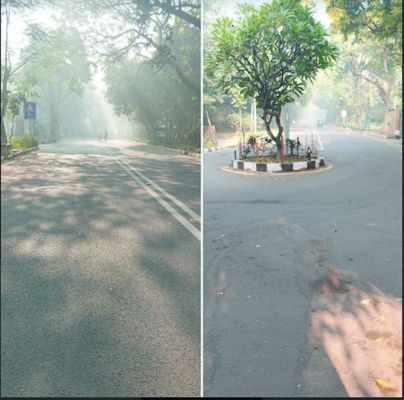 आदत के गुलाम