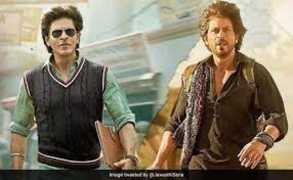 'डंकी' ने दुनियाभर में कमाए 256.40 करोड़ रुपये