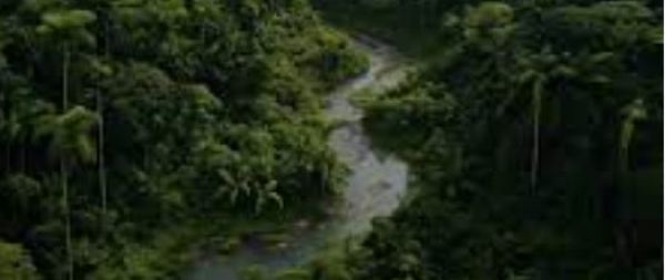 एक सुविधाभोगी समाज की पाखंडी प्रवृत्ति