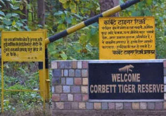 जिम कॉर्बेट में सैलानियों के लिए दो किलोमीटर तक का साइकिल ट्रैक तैयार