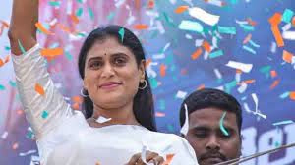कांग्रेस ने वाई एस शर्मिला को पार्टी की आंध्र प्रदेश इकाई का अध्यक्ष नियुक्त किया