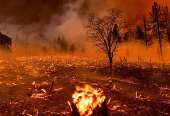 जलवायु परिवर्तन से 2050 तक 14.5 मिलियन लोगों की जान जा सकती है: डब्ल्यूईएफ