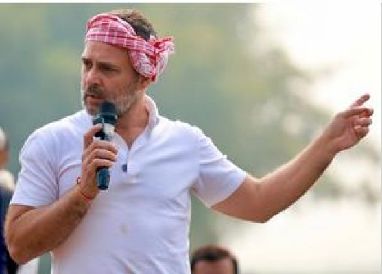 बिहार में सामाजिक न्याय के लिए हमें नीतीश की जरूरत नहीं : राहुल गांधी