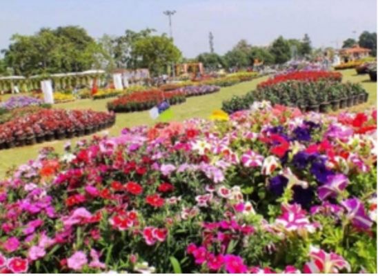 ग्रेटर नोएडा के सिटी पार्क में 8 से 10 मार्च तक पुष्पोत्सव का आयोजन