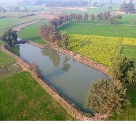 बस्ती में मत्स्य पालन के साथ खेती किसानी की नई तस्वीर गढ़ने में जुटे ग्रामीण
