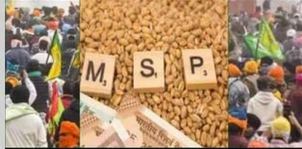 पंजाब में सर्वाधिक एमएसपी फिर भी असंतोष! क्या किसान आंदोलन राजनीति से है प्रेरित?