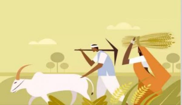 कृषि क्षेत्र को बढ़ावा देने के लिए सरकार ने एफसीआई की अधिकृत पूंजी दोगुनी कर 21 हजार करोड़ रुपये की