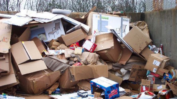 खपत घटाकर ही बचा सकते हैं धरती