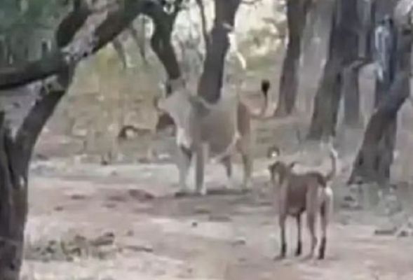 स्त्री लगातार घर में रहते संघर्ष करना भूल गई