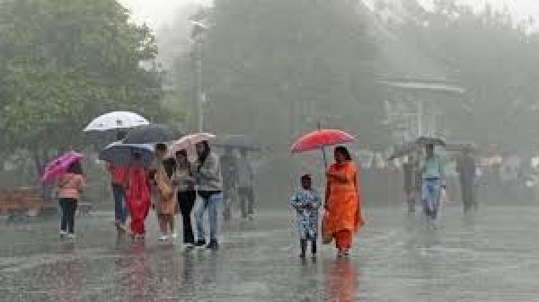 पंजाब के कई हिस्सों में बारिश