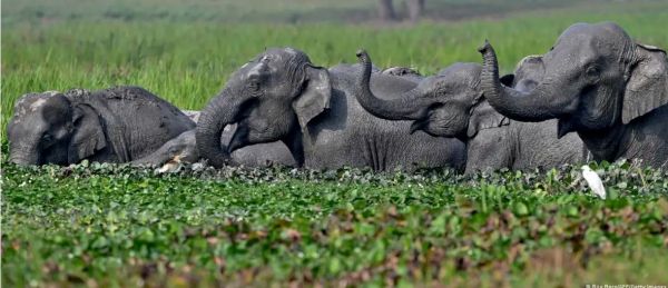 क्या वाकई में गुवाहाटी है दुनिया का दूसरा सबसे प्रदूषित शहर?