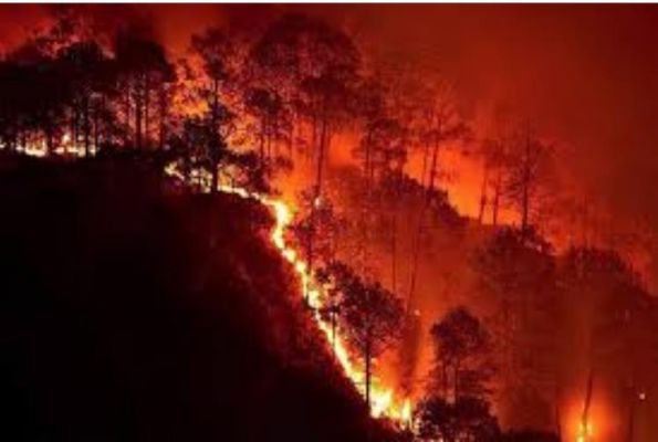 उत्तराखंड के जंगलों में आग का तांडव : अगलगी की अब तक 1038 घटनाएं हुईं, 1385. 848 हैक्टेयर वन क्षेत्र प्रभावित