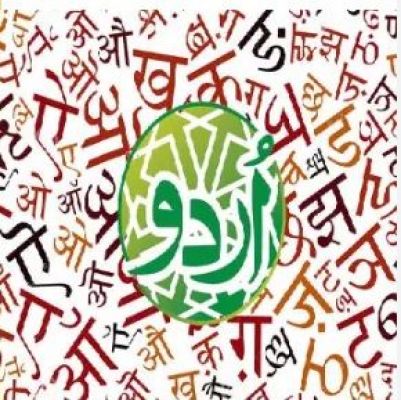 पब्लिक इंटेलेक्चुअल किसे कहते हैं?