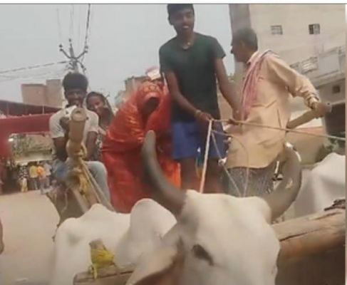 चुनाव के रंग : बिहार के हाजीपुर में बैलगाड़ी से वोट देने पहुंचे मतदाता 