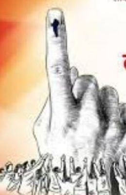 आदर्श लोकतंत्र के मूल तत्व