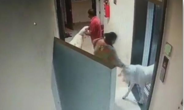 मुंबई : दो सोसाइटी में बकरे की कुर्बानी को लेकर बवाल 