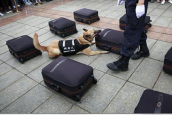 चीनी राष्ट्रीय आव्रजन प्राधिकरण ने 6 महीनों में 4.5 टन ड्रग्स जब्त की 