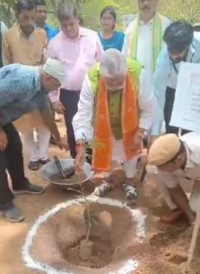 बिहार में 4.10 करोड़ पौधे लगाए जाएंगे, पहाड़ों पर 'सीड बॉल' का होगा इस्तेमाल 