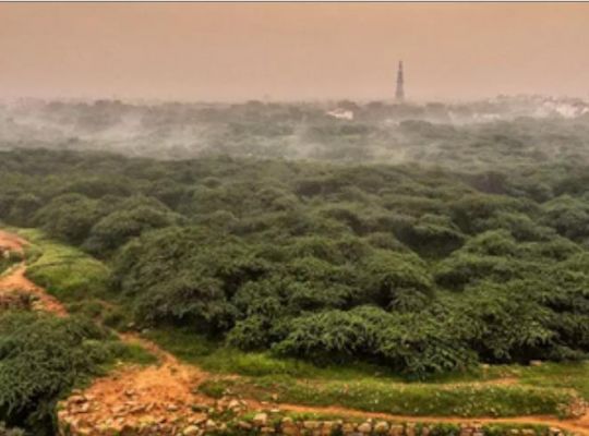 गुरुग्राम : अरावली रेंज में अवैध खनन के खिलाफ सख्त कार्रवाई के निर्देश 