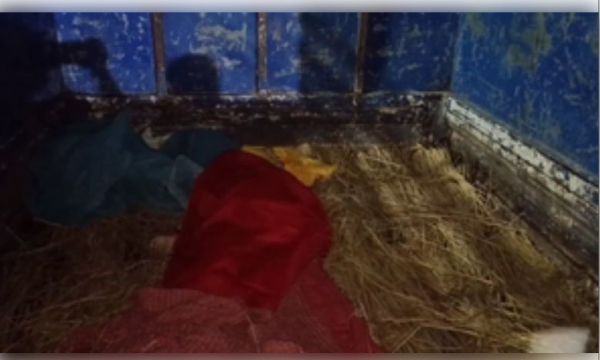 बिहार: नालंदा में आकाशीय बिजली का कहर, एक बच्ची समेत तीन की मौत 