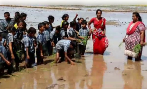 पढ़ाई के साथ बच्चों को खेतीबाड़ी सिखा रहा आंध्र प्रदेश का यह स्कूल 