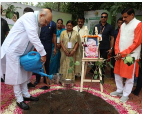 पीएम मोदी का 'एक पेड़ मां के नाम' अभियान बना आंदोलन : अमित शाह
