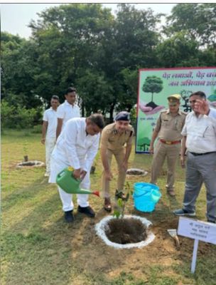गाजियाबाद और नोएडा में हुआ पौधारोपण कार्यक्रम, सांसद, विधायक और कैबिनेट मंत्री भी हुए शामिल