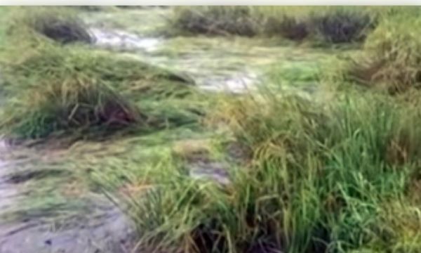 यूपी : बाढ़ प्रभावित सवा लाख किसानों को 71 करोड़ का मुआवजा