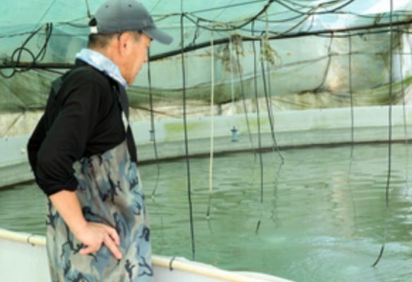 दक्षिण कोरिया में पड़ रही भीषण गर्मी से 18 लोगों की मौत 