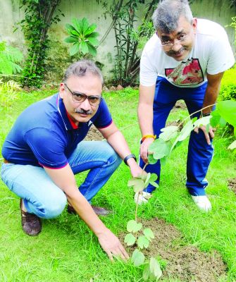 एक पेड़ मां के नाम 