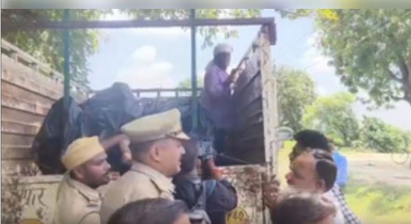 पिंजरे में कैद हुआ खूंखार भेड़िया, लोगों ने ली राहत की सांस