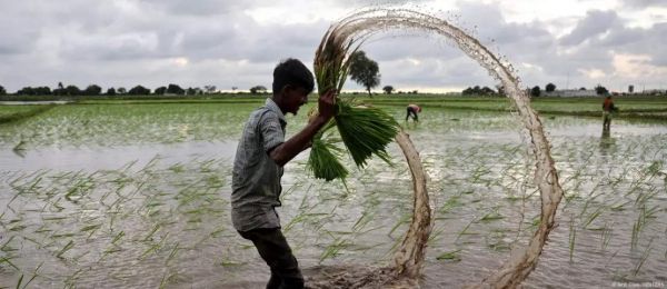 बिहार: जमीन सर्वे के नाम पर क्यों मचा है हंगामा