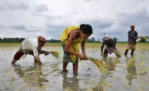 एग्रोकेमिकल इंडस्ट्री को मिल रहा 'मेक इन इंडिया' का फायदा, अगले 4 वर्षों में 80,000 करोड़ रुपये के पार जा सकता है निर्यात 