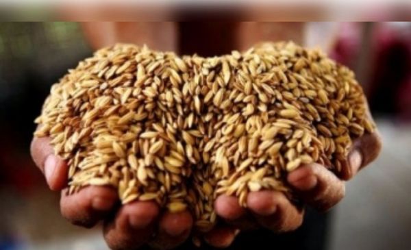 भारत ने खाद्य सुरक्षा बढ़ाने के लिए ब्राजील और भूटान के साथ की साझेदारी 
