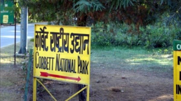 वन्यजीव सप्ताह : मशहूर शिकारी के नाम पर रखा गया जिम कॉर्बेट नेशनल पार्क का नाम, बंगाल टाइगर है यहां की खासियत 