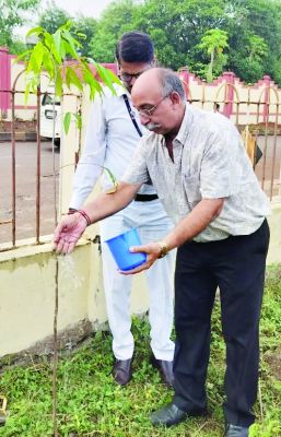 रेलवे स्टेशन प्लेटफार्म नंबर सात में पौधरोपण