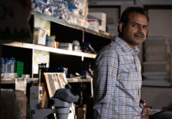 भारतीय मलू के वैज्ञानिक ने की प्रोटीन के नए कार्य की खोज, जो उम्र संबंधी बीमारियों का इलाज कर सकती है 