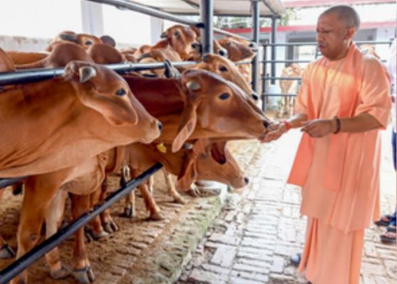 'मिनी नंदिनी कृषक समृद्धि योजना' के जरिए यूपी में 'दुग्ध क्रांति' लाएगी योगी सरकार 