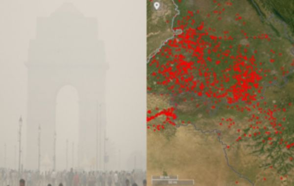 दिल्ली में प्रदूषण के खतरनाक स्तर के बीच नासा की तस्वीरों में पंजाब-हरियाणा में व्यापक आग की चपेट में कई इलाके