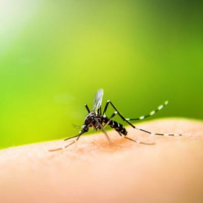 मलेरिया परजीवी जीनोम के विश्लेषण से खुलेंगे उपचार के नए रास्‍ते 