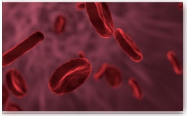 भारतीय वैज्ञानिकों ने विकसित की हीमोफीलिया ए के लिए पहली मानव जीन थेरेपी 